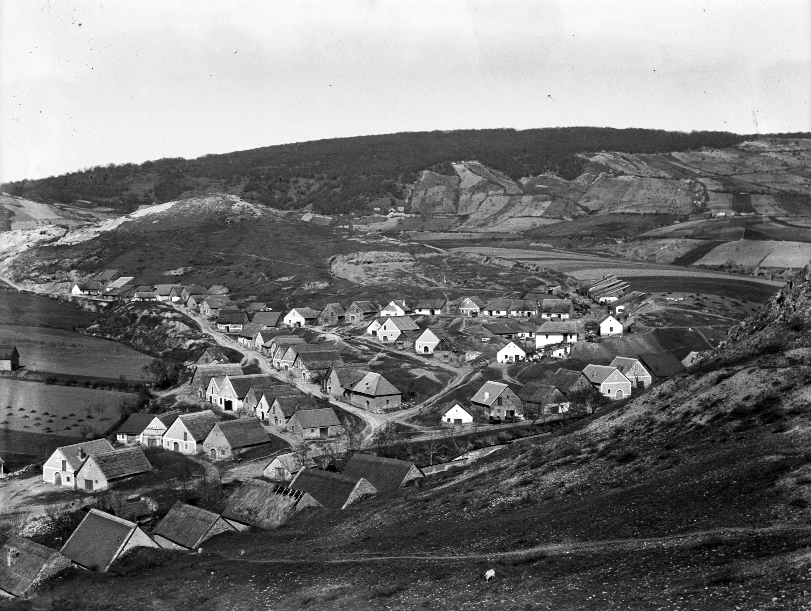 Budaörsi borospincék, 1900 előtt - Fortepan/SZTFH Földtani Szolgálatának gyűjteménye/Eötvös Loránd