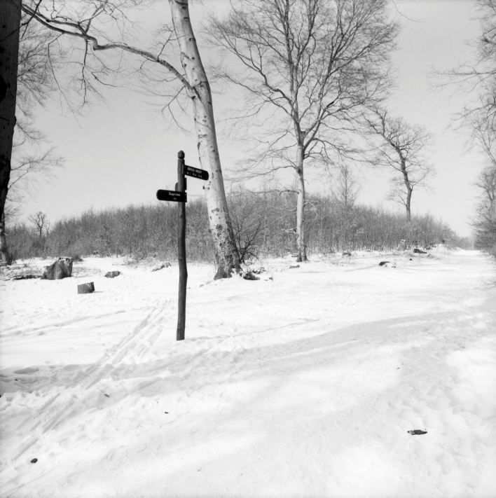 Információs tábla a János-hegyen - Dokumentációs Központ/Fotótár/POTI gyűjtemény