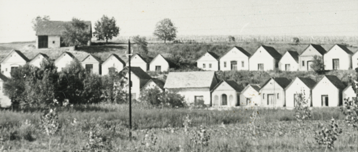 DOK/BTI/73/3656/02. Villánykövesdi pincék, 1961.