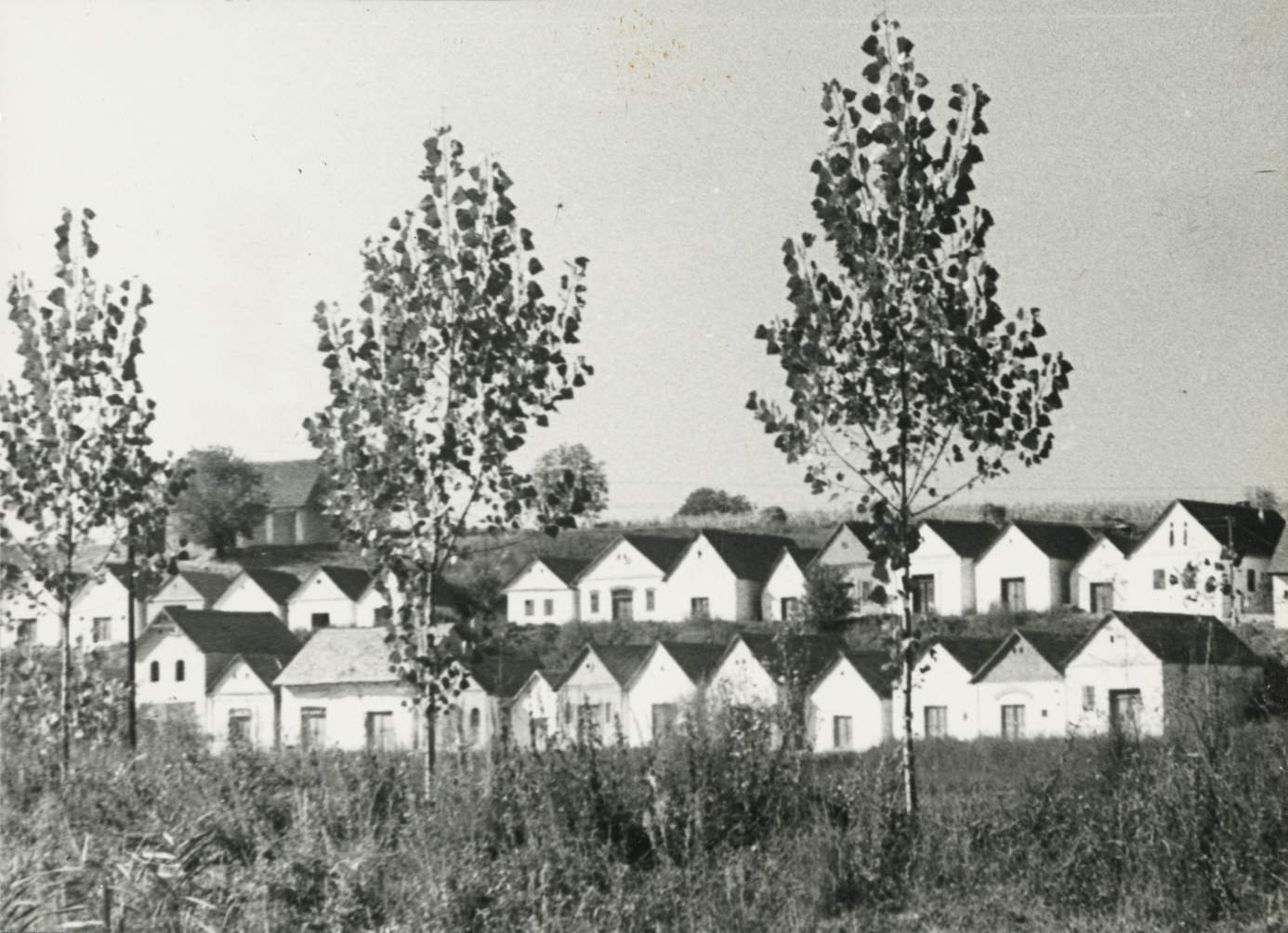 DOK/BTI/73/3656/03. Villánykövesdi pincék, 1961.
