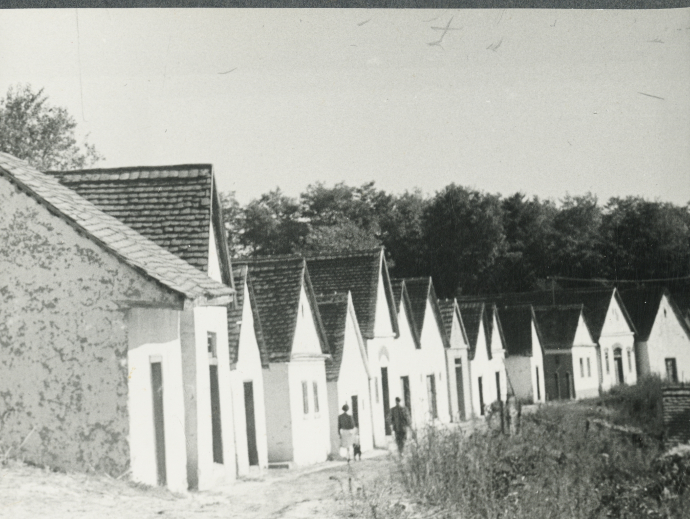 DOK/BTI/73/3656/05. Villánykövesdi pincék, 1961.