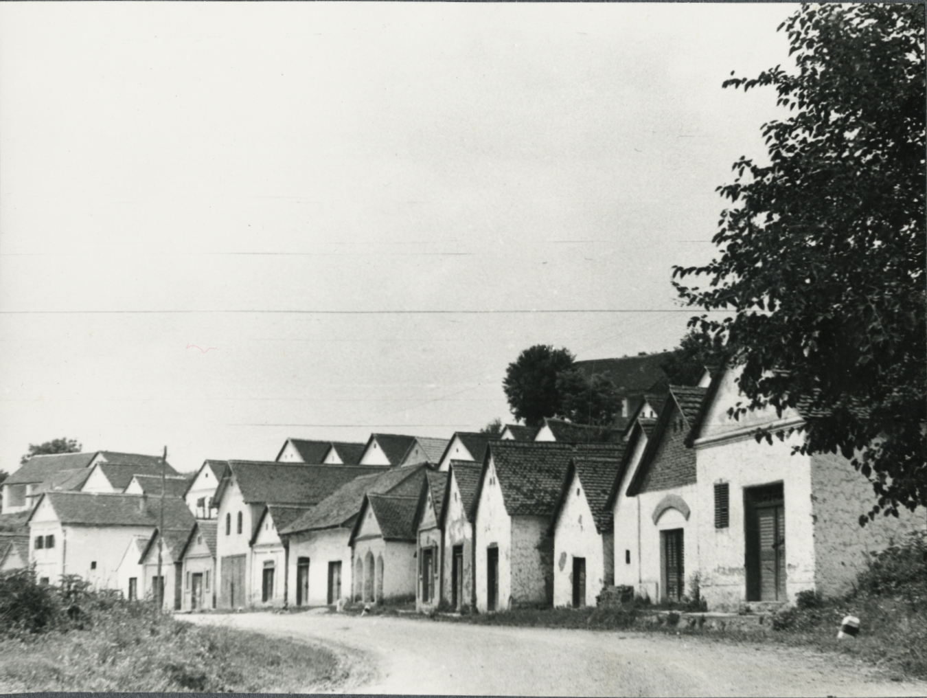 DOK/BTI/73/3656/06. Villánykövesdi pincék, 1961.