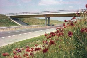 Pipacsok az épülő autópálya szélén - Dokumentációs Központ/Fotótár/UVATERV gyűjtemény